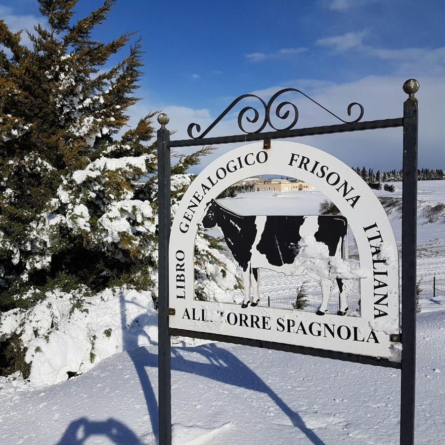 Masseria Torre Spagnola Ματέρα Εξωτερικό φωτογραφία